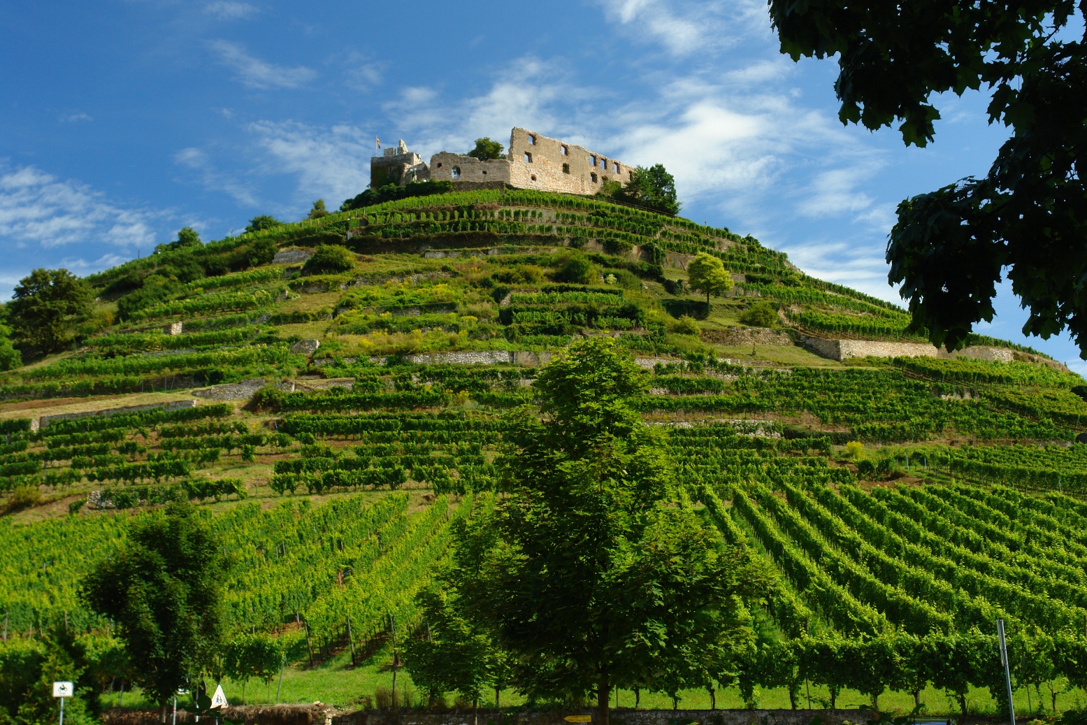 Tourismus | Stadt Staufen | Stadt Staufen